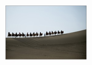 DUNE AND CAMELS